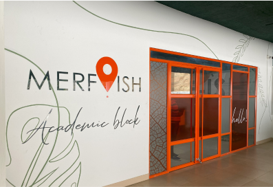 merfish-top-institute-for-audiology